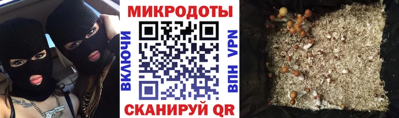 Псилоцибиновые грибы прущие грибы где продают наркотики Ивдель